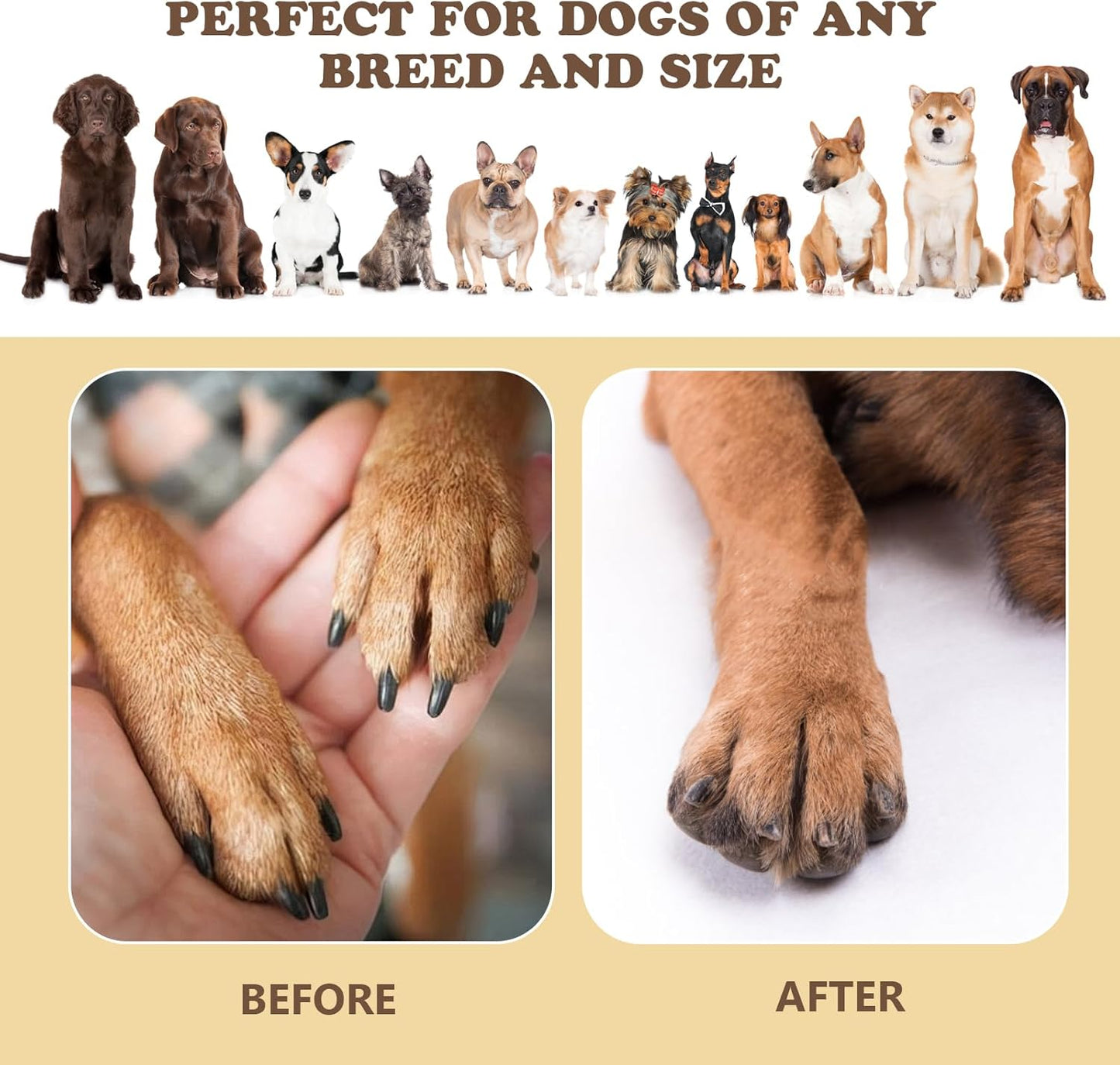 Dog Nail Scratch Board - 3 in 1 Interactive Dog Scratch Pad for Nails,Dog Nail Scratch Board with Treat Box，Stress-Free Nail Filing Tool,Dog Nail File Toy, Scratching Board for Dogs